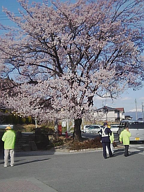 09高森の桜.jpg